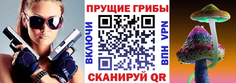 Галлюциногенные грибы MAGIC MUSHROOMS  где можно купить   Георгиевск 